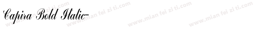 Capira Bold Italic字体转换